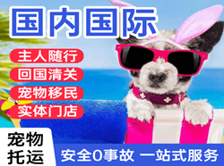 郑州空运公司国际宠物托运 【国
